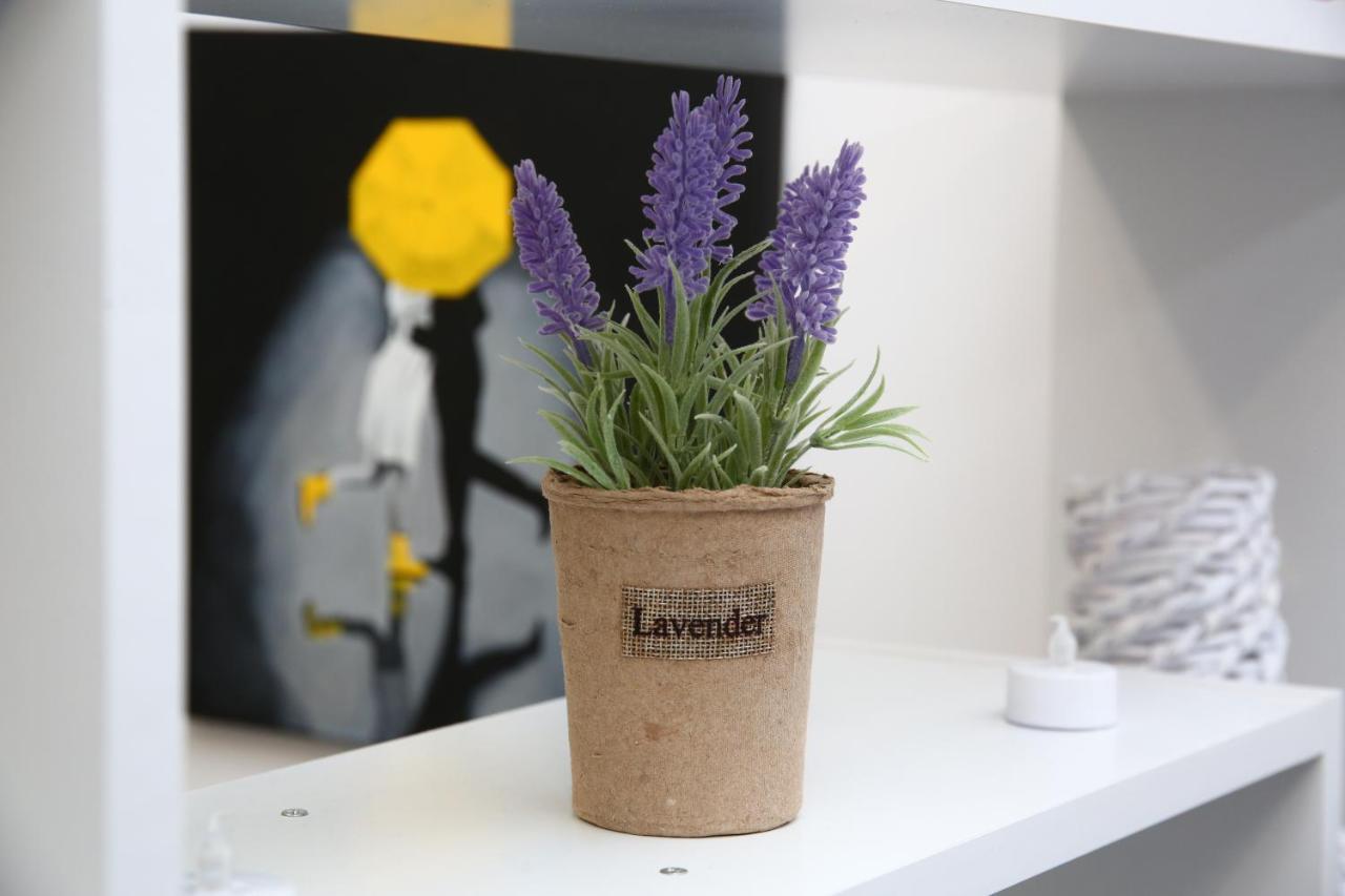 B&M Apartment Braşov Dış mekan fotoğraf